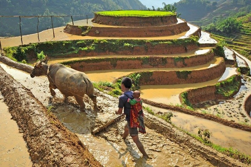 Khoanh khac bo Viet cham con kheo hon me-Hinh-13